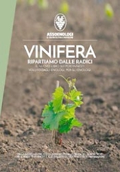 A.A.V.V. Vinifera ripartiamo dalle radici immagine non disponibile