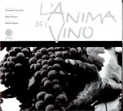 Alessandro Puccinelli, Cippi Pitschen, Michele Quirici L'anima del vino immagine non disponibile