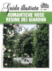 a cura di Anna Furlani Pedoja Romantiche rose regine dei giardini immagine non disponibile