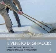 Pier Giovanni Zanetti Il Veneto di ghiaccio immagine non disponibile