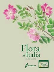 Riccardo Guarino, Marco La Rosa, Sandro Pignatti Flora d'Italia volume 4 immagine non disponibile