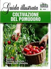 a cura i Davide Boscaini - Coltivazione del pomodoro