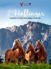 A.A.V.V. - L'Haflinger