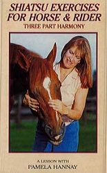 a lesson with Pamela Hannay - Shiatsu exercises for horse & rider