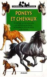 Gilles Delaborde Poneys et chevaux immagine non disponibile