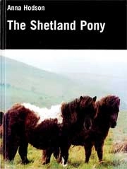 Anna Hodson The Shetland pony immagine non disponibile