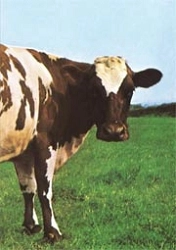 Giovanni Rossi - Atom Heart Mother