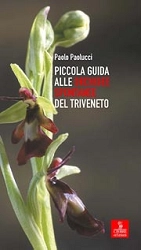 Paolo Paolucci - Piccola guida alle orchidee spontanee del Triveneto