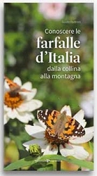 Guido Pedroni Conoscere le farfalle d'Italia immagine non disponibile