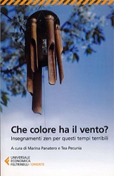 a cura di Marina Panatero e Teo Pecunia Che colore ha il vento? immagine non disponibile