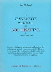 Ken McLeod Le trentasette pratiche del Bodhisattva di Tokmé Zongpo immagine non disponibile