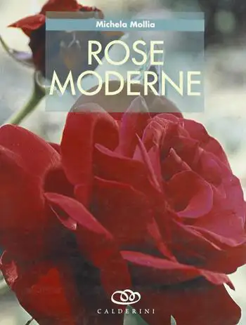 Michela Mollia - Rose moderne