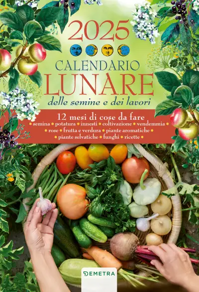 AA.VV. - Calendario Lunare 2024 da parete 