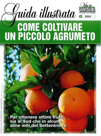 a cura di salvo Manzella - Come coltivare un piccolo agrumeto