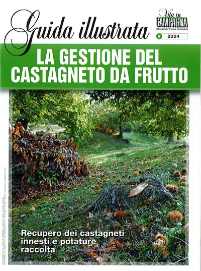 a cura di Maurizio Musolesi - La gestione del castagneto da frutto