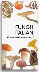 A.A.V.V.Funghi italiani